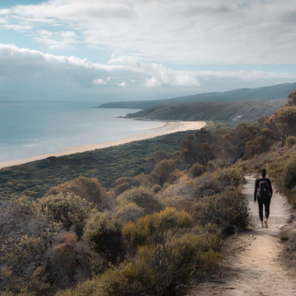 Archers Knob, Narawntapu National Park walk