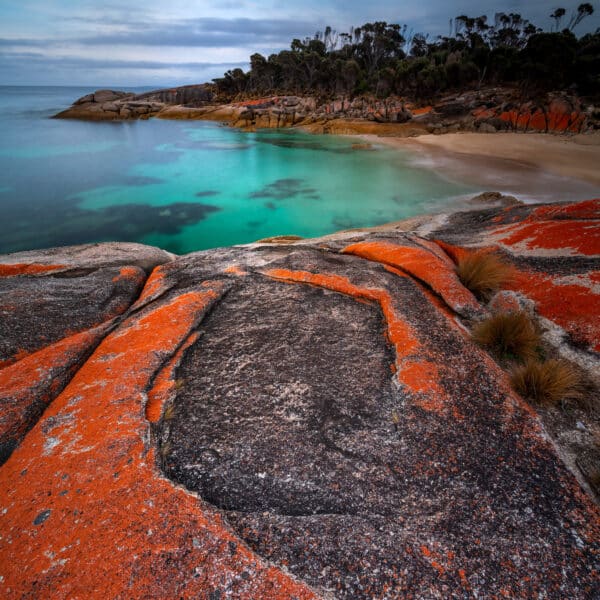 Trousers Point, Flinders walk Island walk