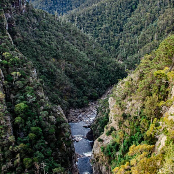 Leven Canyon, Tasmania walk