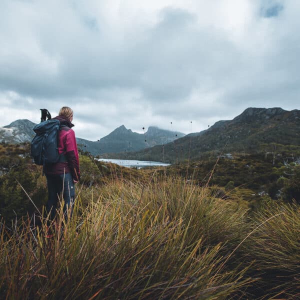 Cradle Mountain and Dove Lake walk