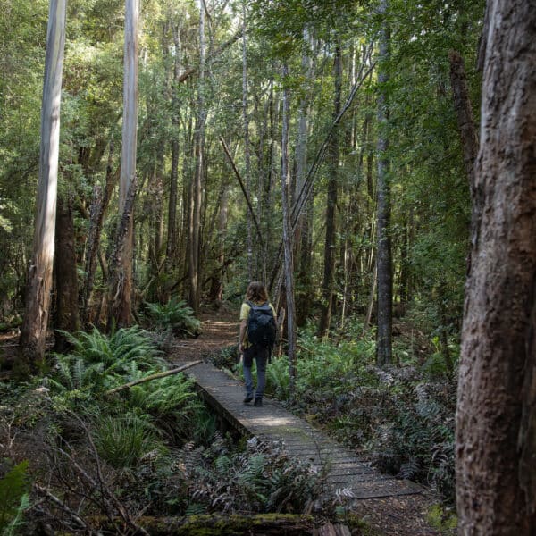 Duckhole Lake, Tasmania walk