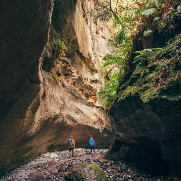 Boowinda Gorge, Carnarvon Gorge, Queensland walk