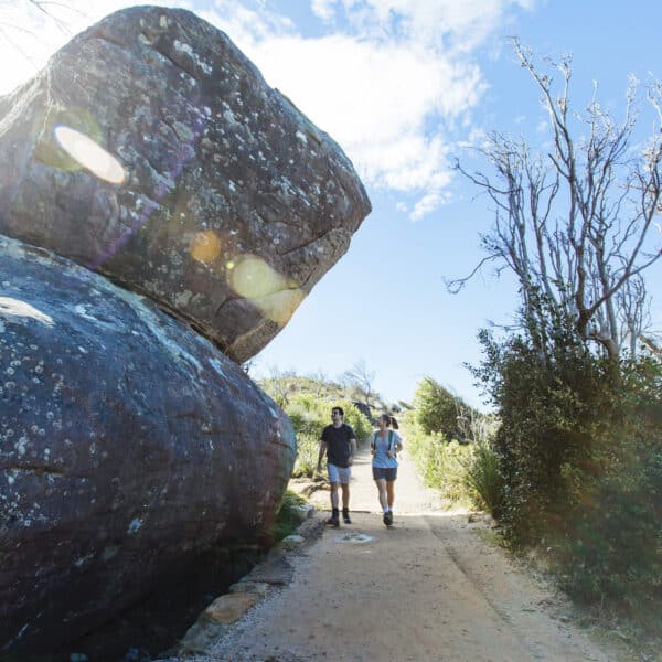 Barrenjoey Lighthouse Walk, Palm Beach walk