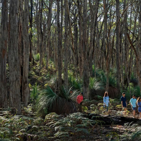 Deep Creek Trail, South Australia walk