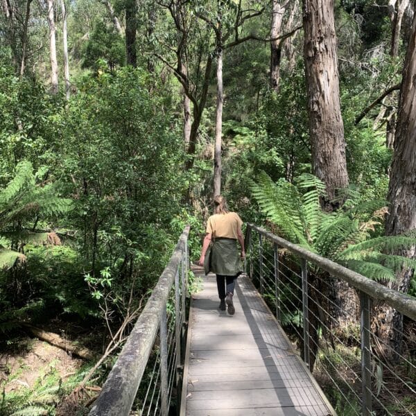 St George River Loop, Victoria walk