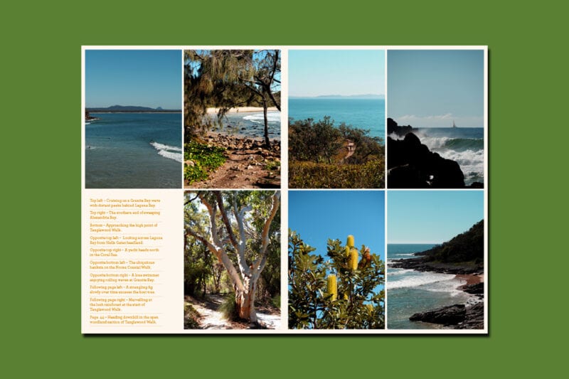 Print + Digital Subscriptions - Image 5