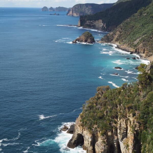 Waterfall Bluff, Tasmania walk