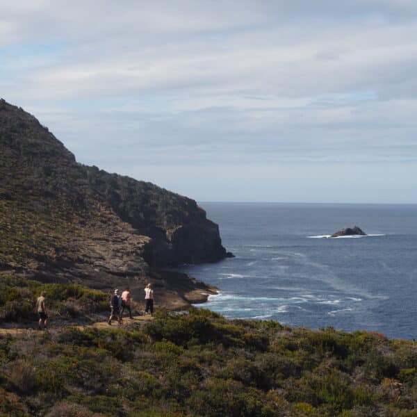 Crescent Bay, Tasmania walk