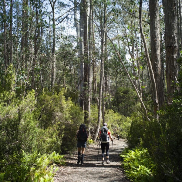 Shadow Lake, Tasmania. (Photo: Matt Newton)