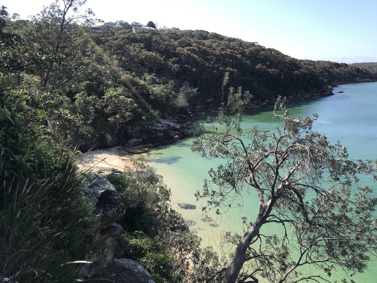 Manly to Spit Bridge, New South Wales