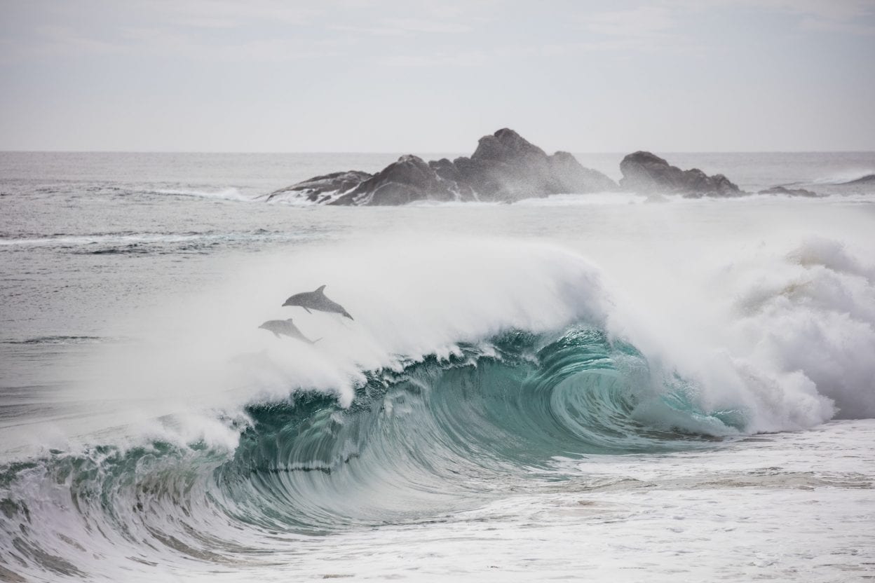 Cape Naturaliste, Western Australia walk