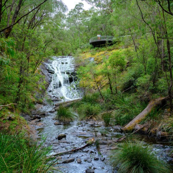 Beedelup Falls, Western Australia