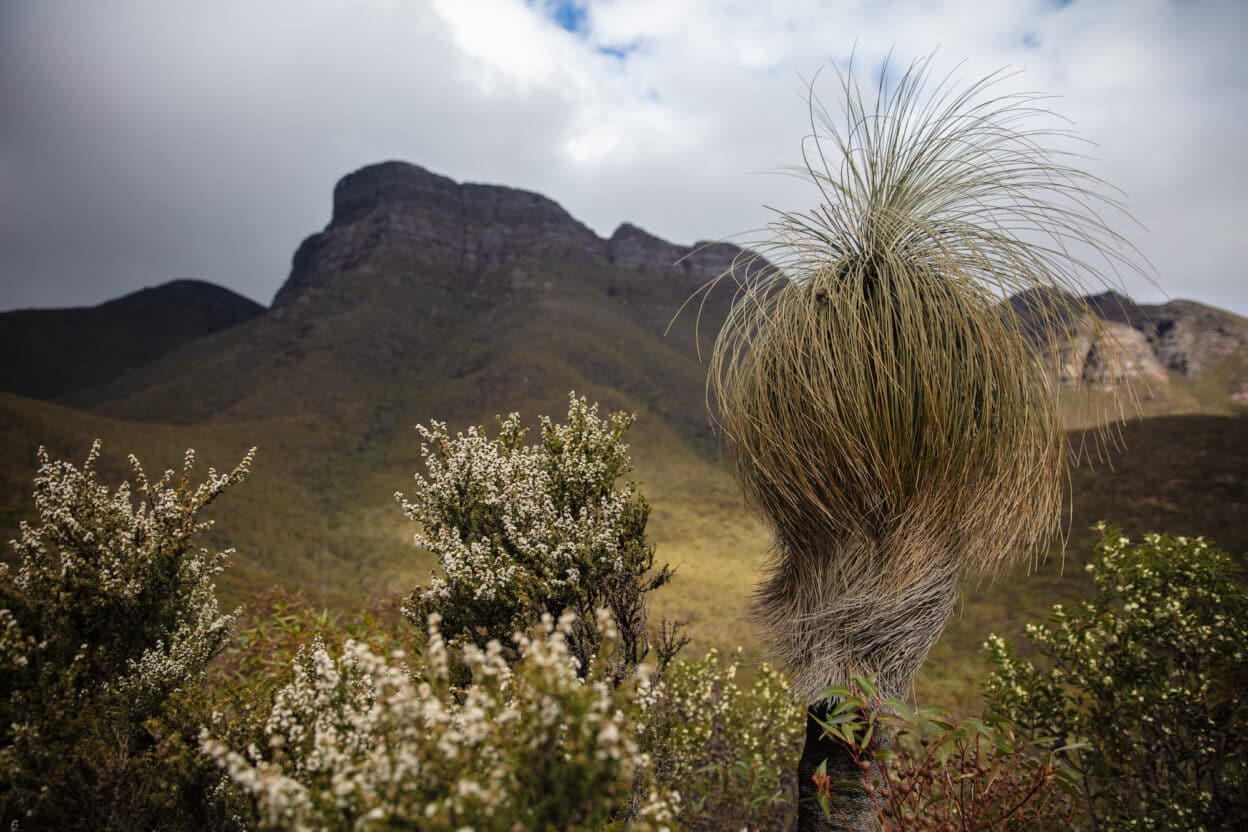 Bluff Knoll, Western Australia walk