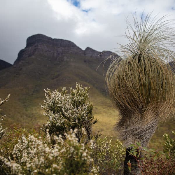 Bluff Knoll, Western Australia walk