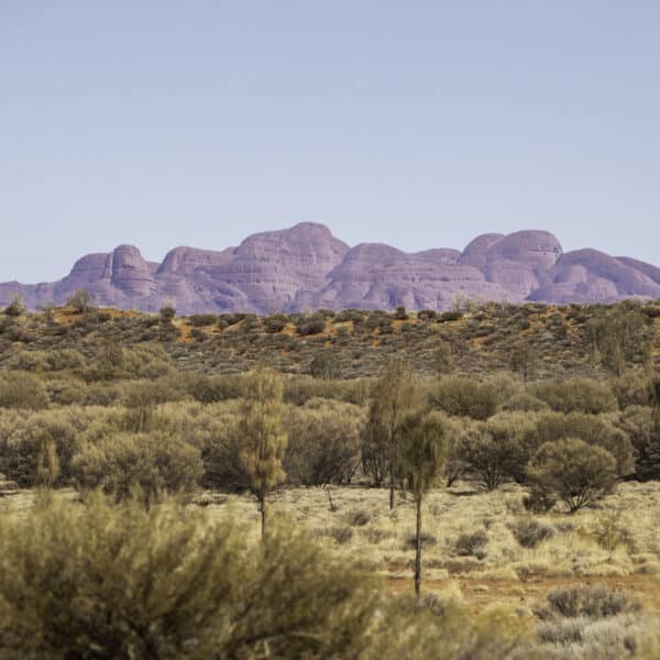 Valley of the Winds, Northern Territory walk