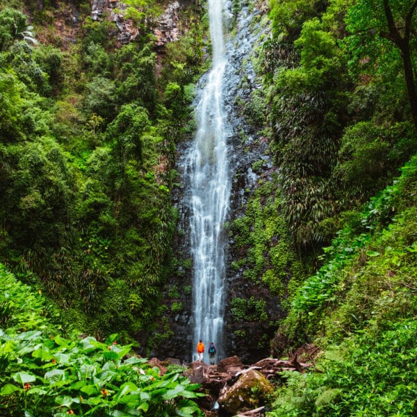 Larapinta Falls, Queensland walk