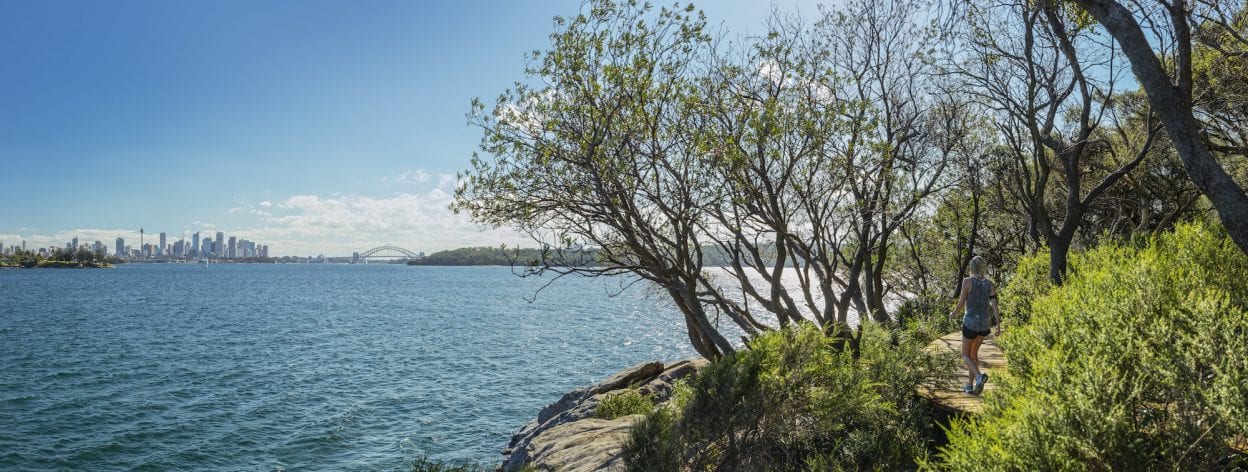 Hermitage ForeshoreTrack, New South Wales