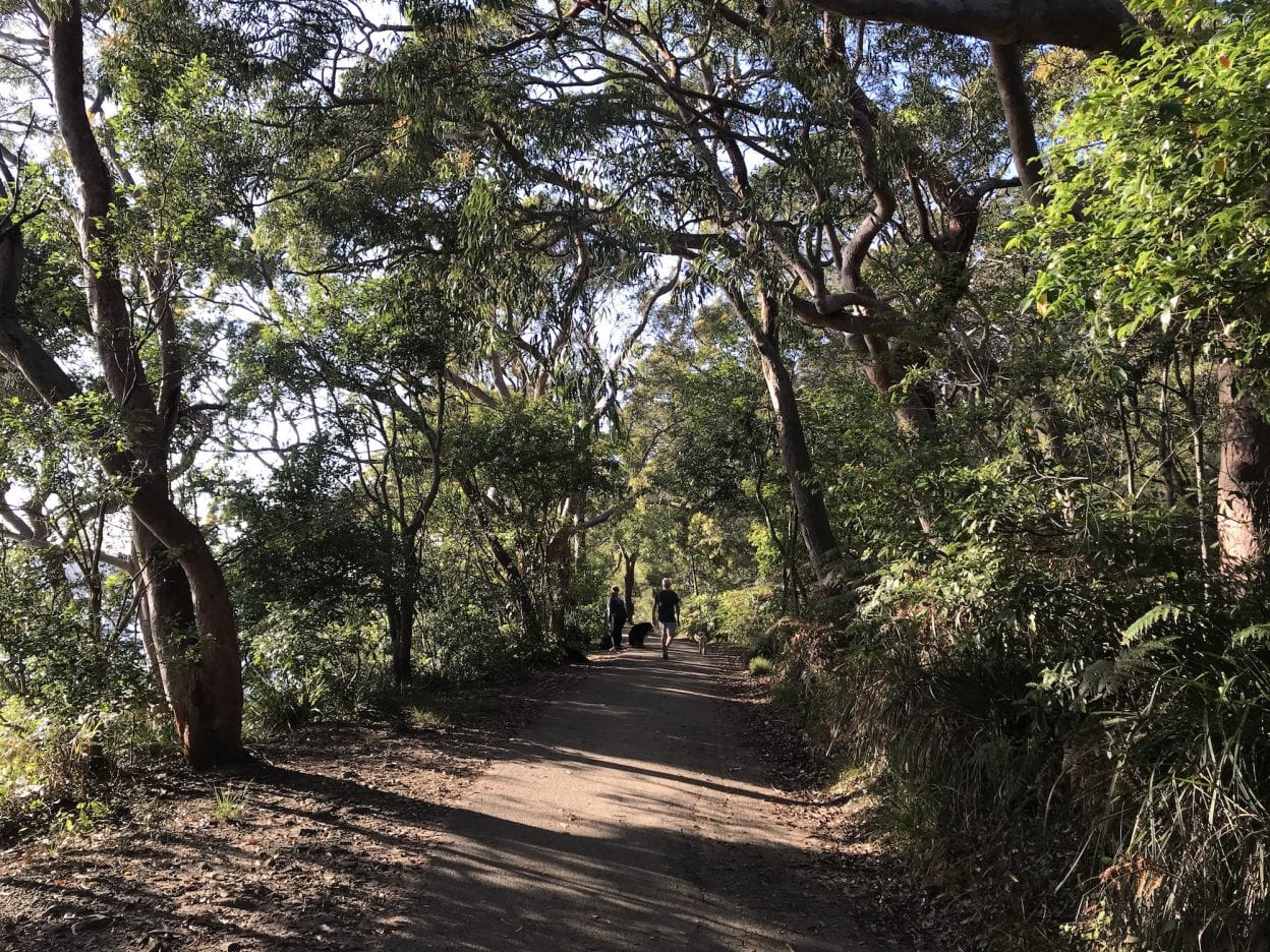 Manly to Spit Bridge, New South Wales