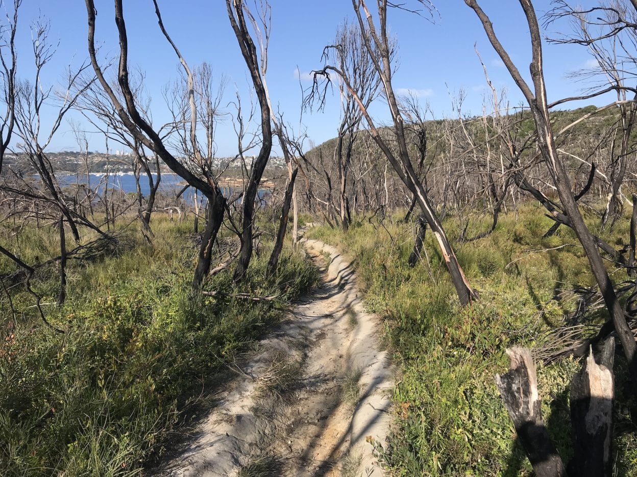 Manly to Spit Bridge, New South Wales