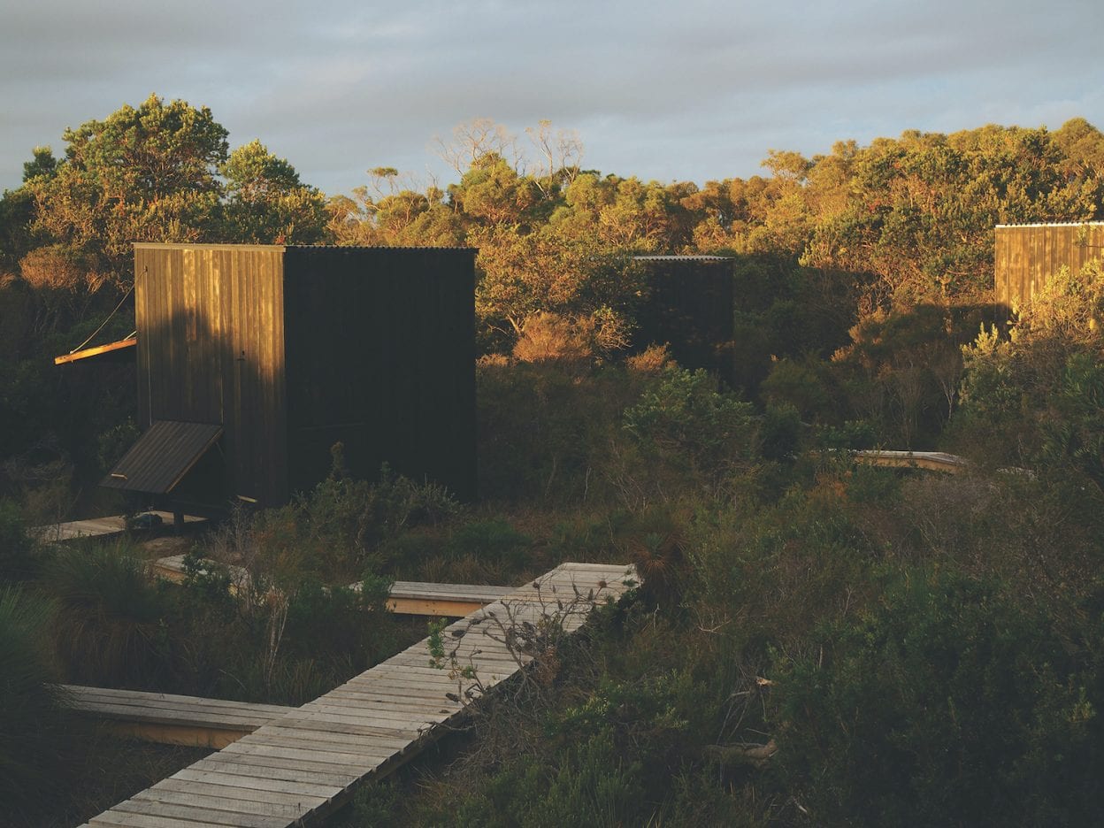 wukalina Walk huts tasmania