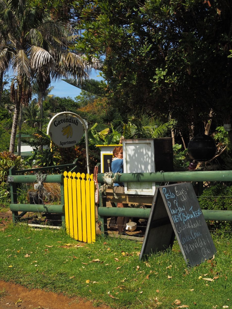 Norfolk Island walk