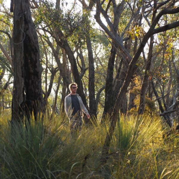 Ted's Ridge Track, Victoria walk