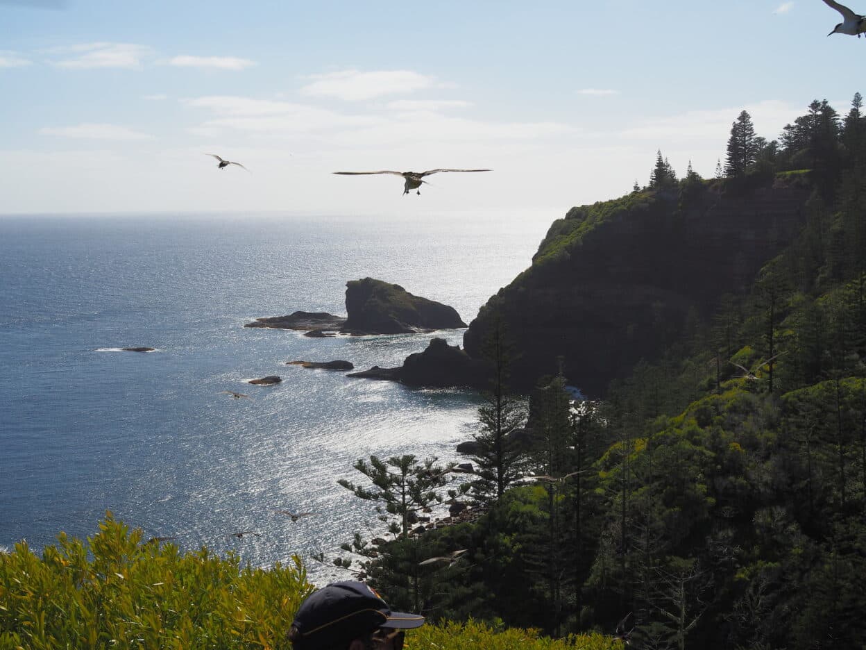 Norfolk Island walk