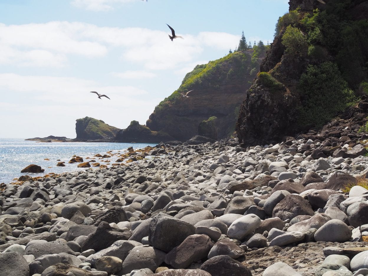 Norfolk Island walk