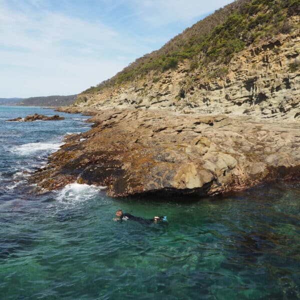 Surf Coast Reef Walk, Victoria