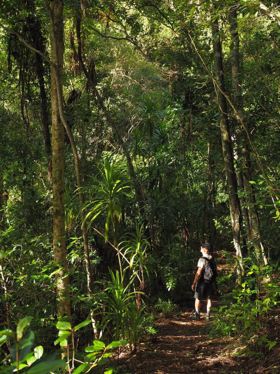 Norfolk Island walk