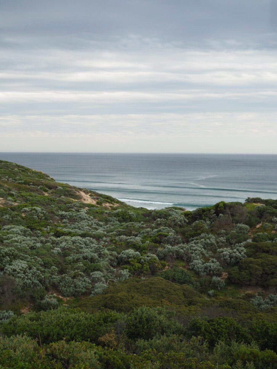 Farnsworth Track, Victoria walk