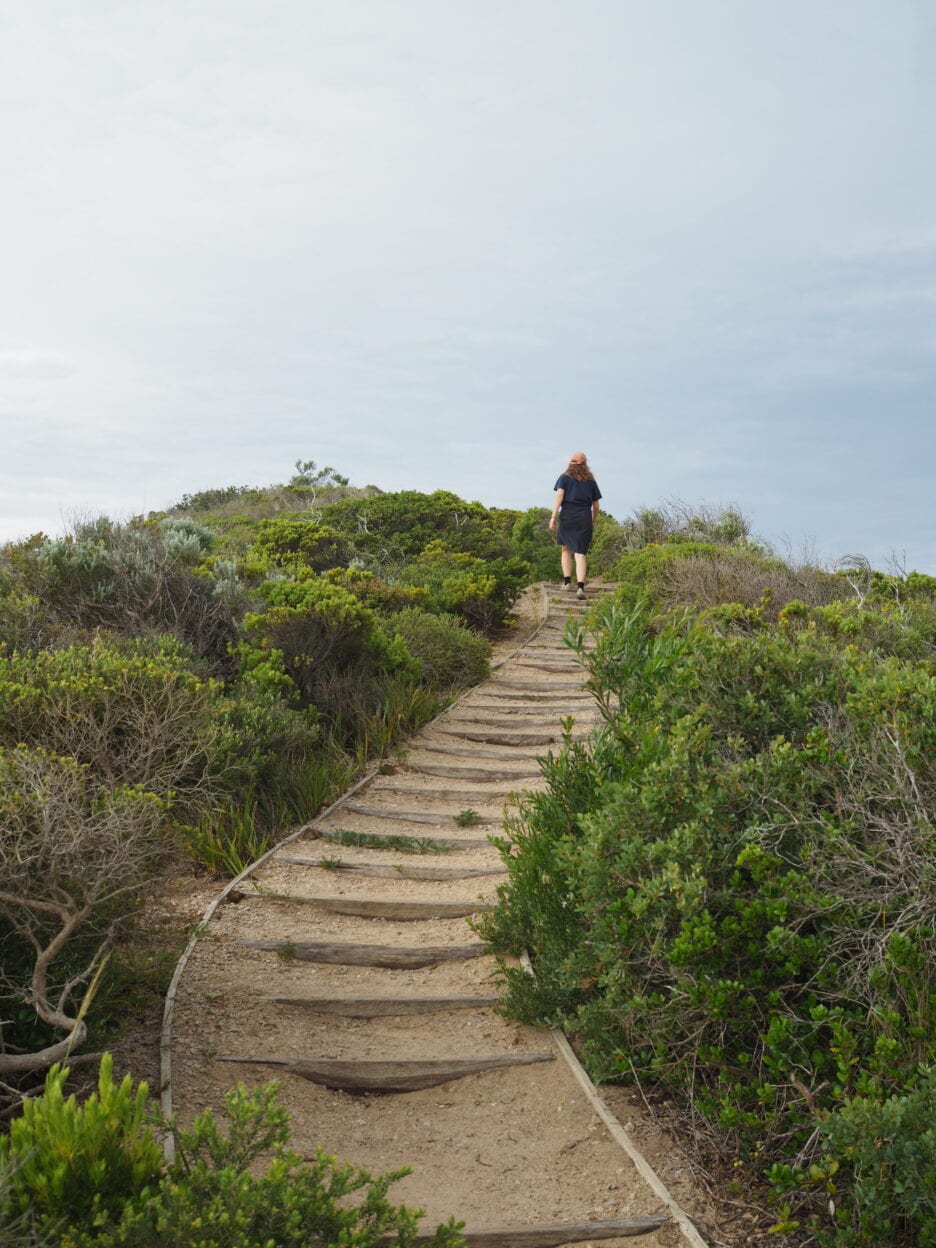 Farnsworth Track, Victoria walk