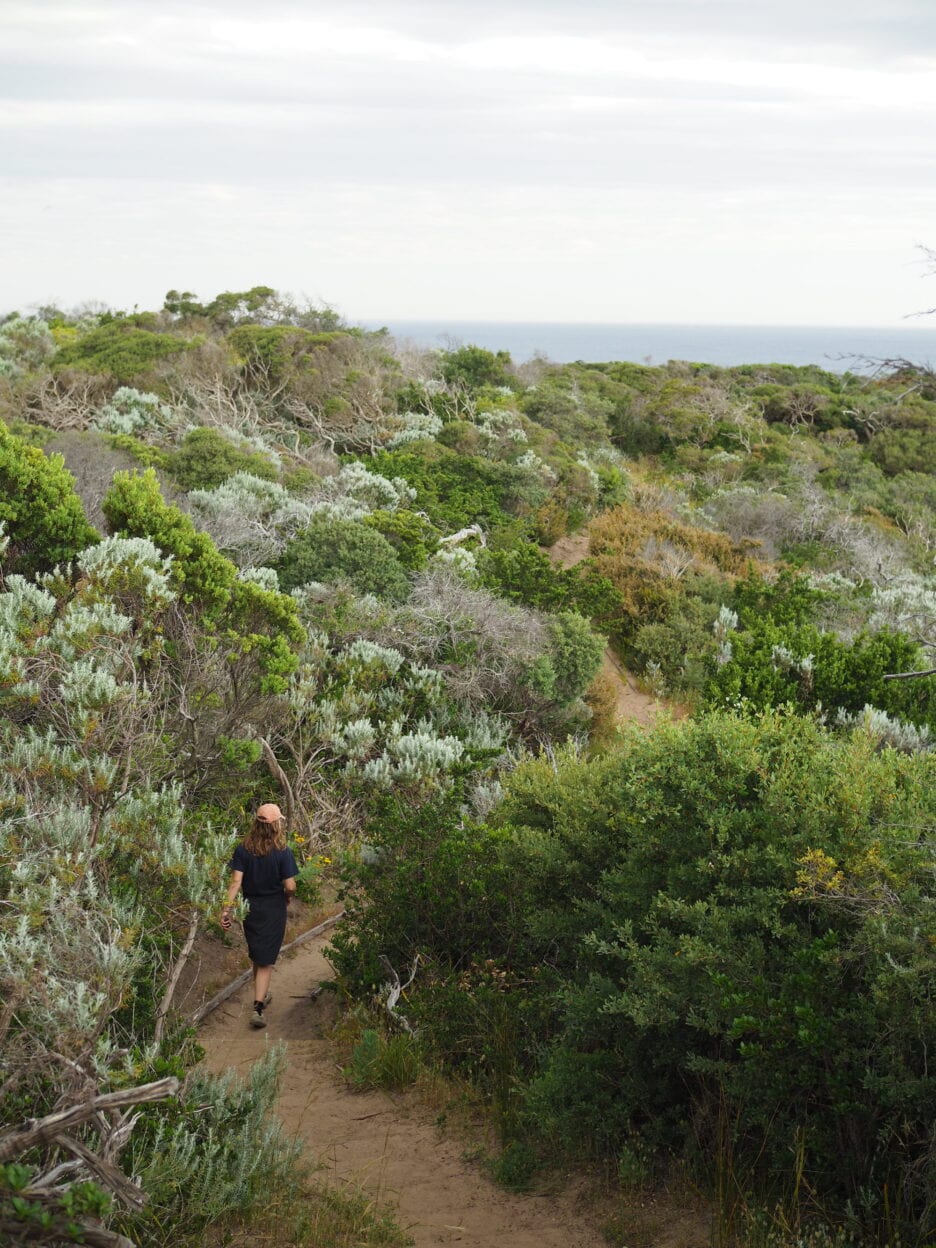 Farnsworth Track, Victoria walk