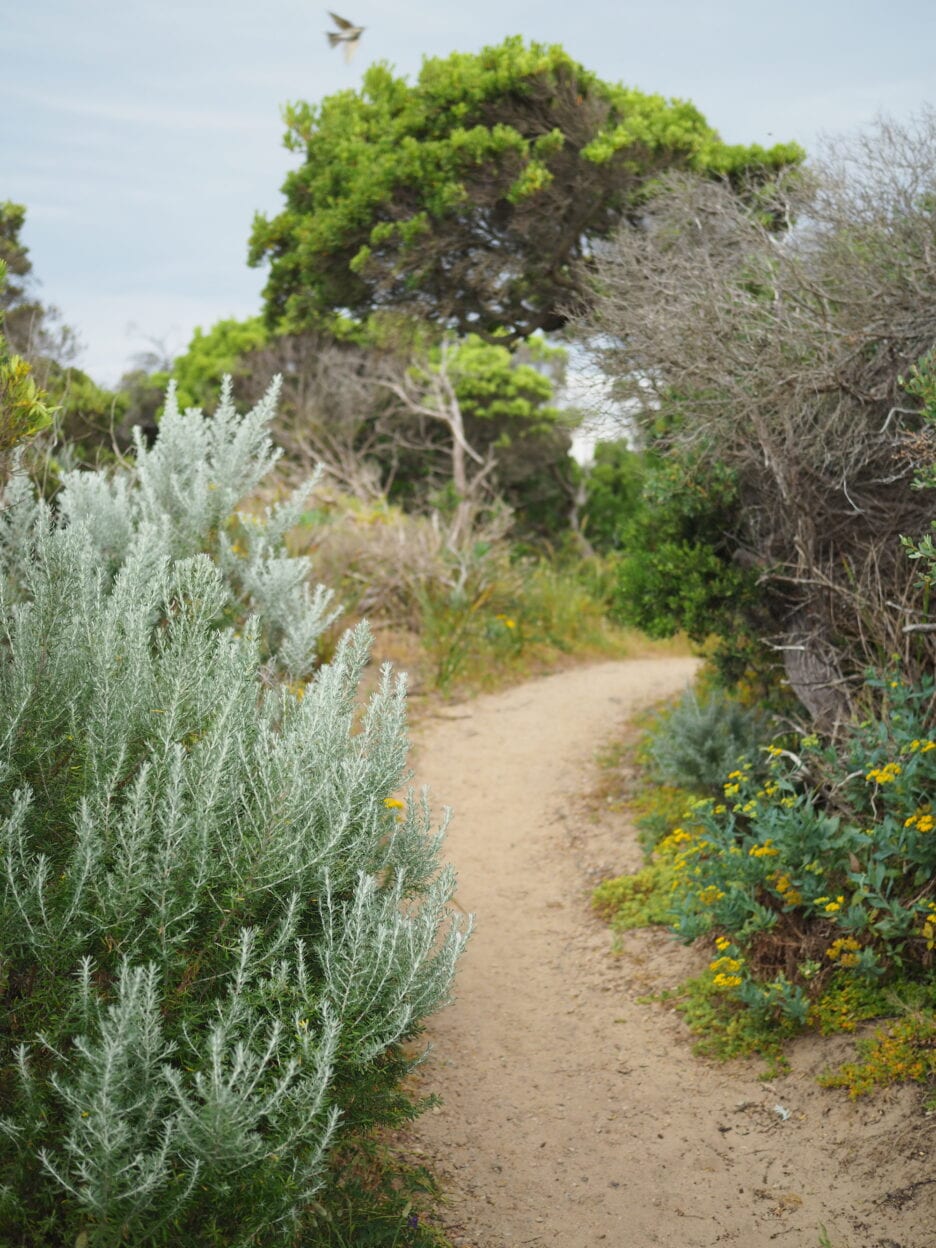 Farnsworth Track, Victoria walk