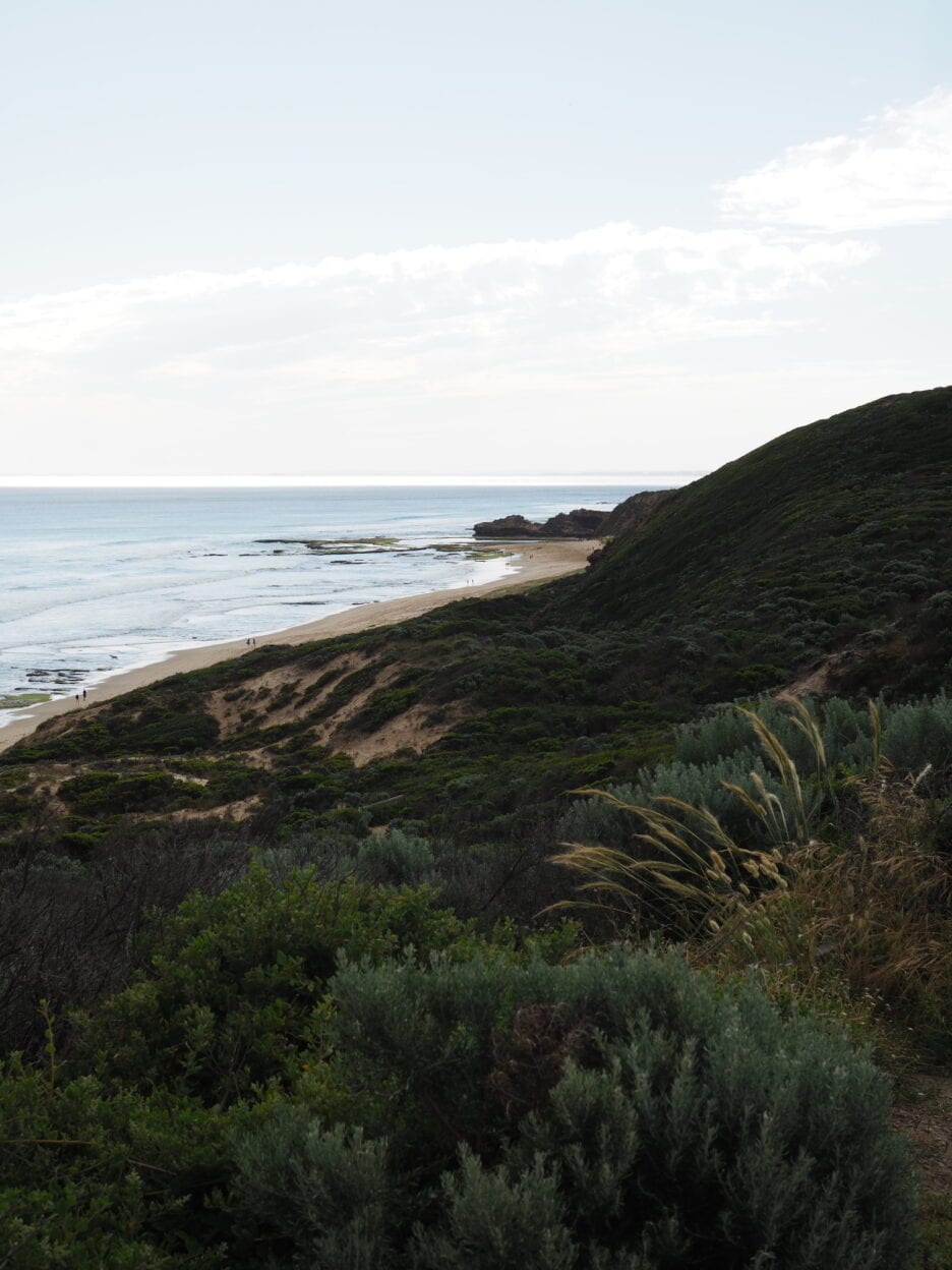 Farnsworth Track, Victoria walk