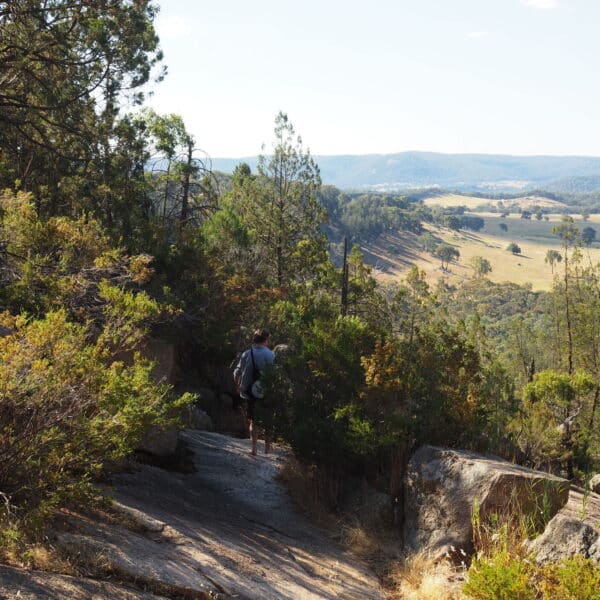 Beechworth Gorge Walk, Victoria