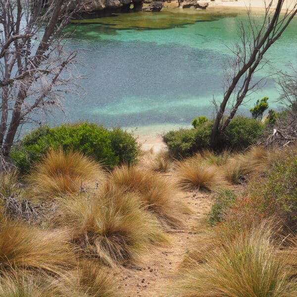 Flinders Island, Tasmania walk