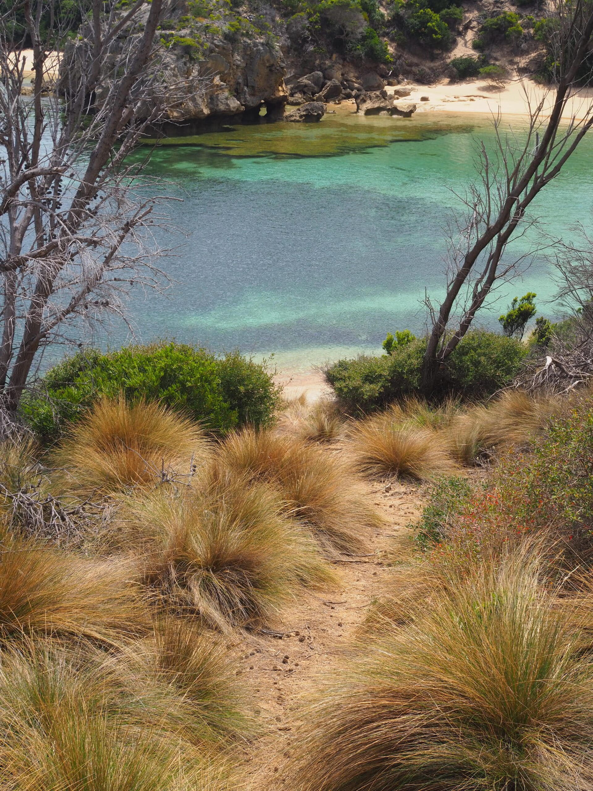 flinders-island-tasmania-walkers-journal