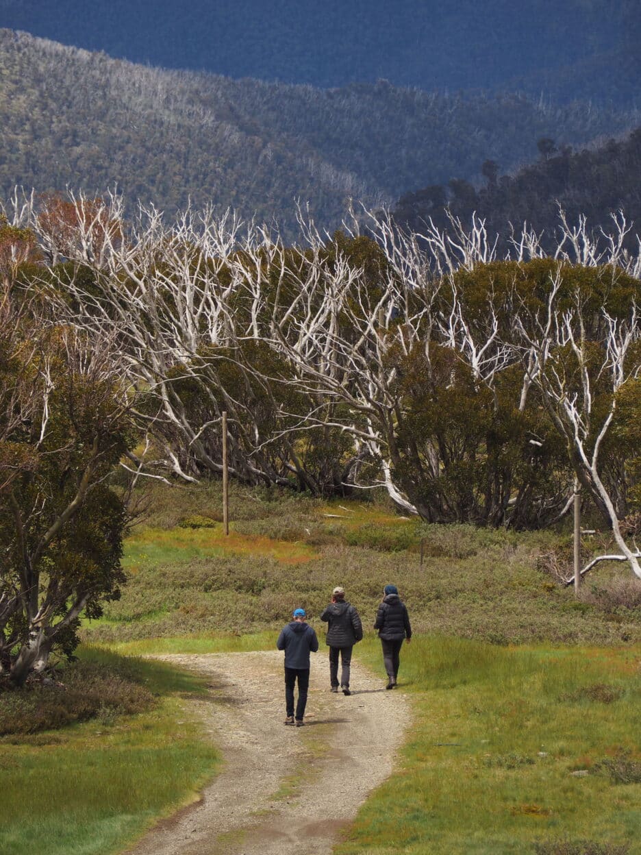 Mt Hotham Village Trails, Victoria 