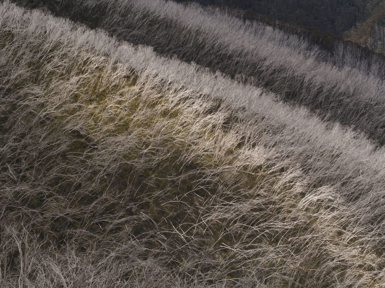 Mt Hotham Village Trails, Victoria 