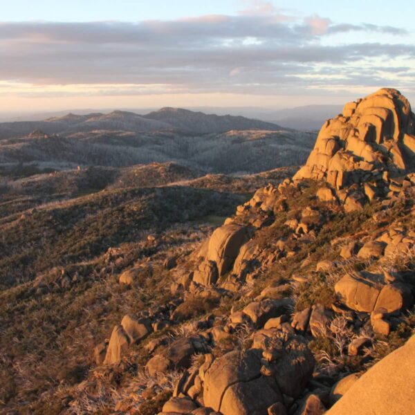 Cathedral – Hump Track, Victoria