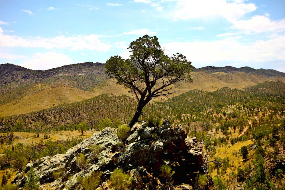 Bunyeroo Creek Hike, South Australia 