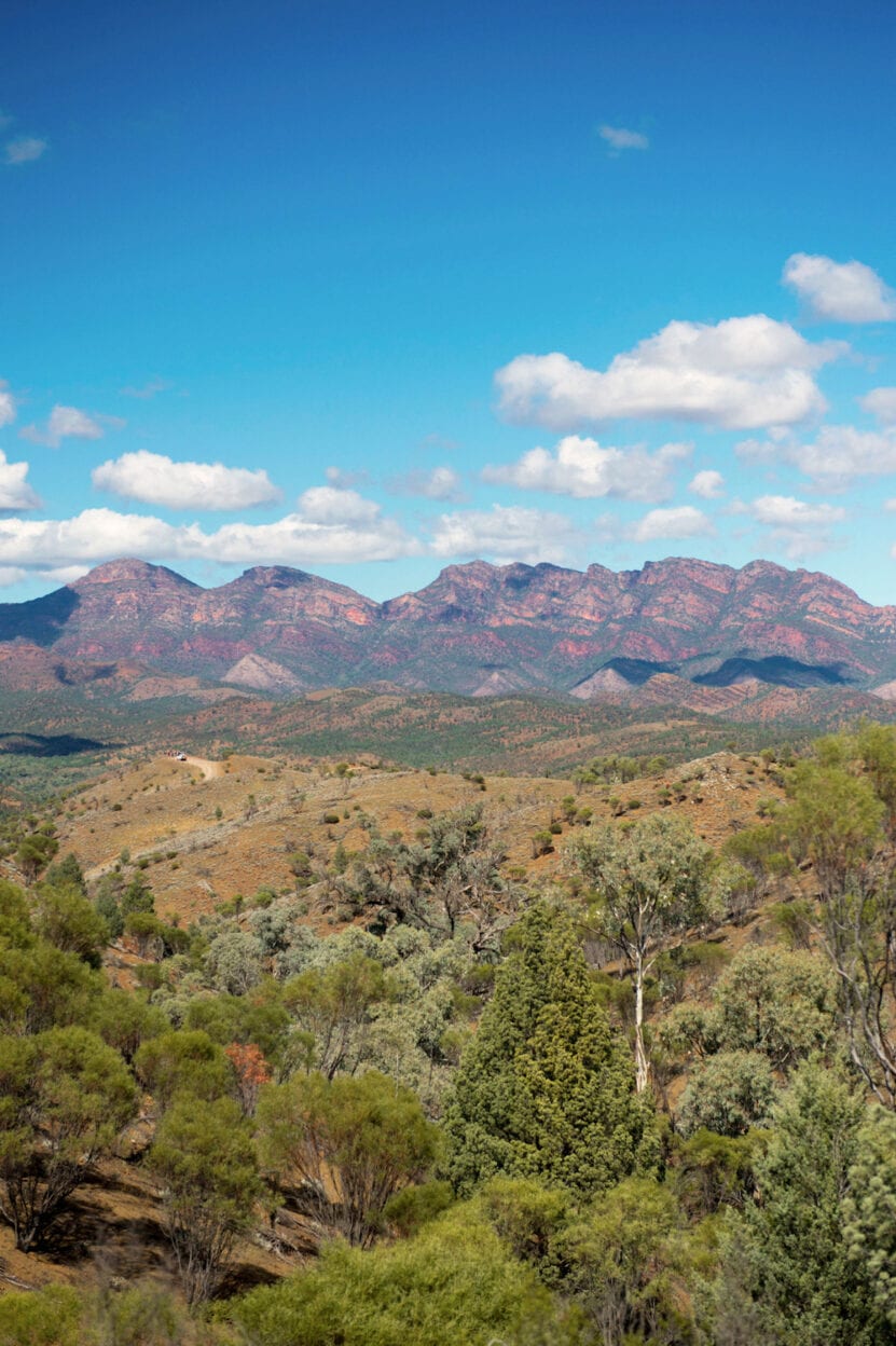 Bunyeroo Creek Hike, South Australia 