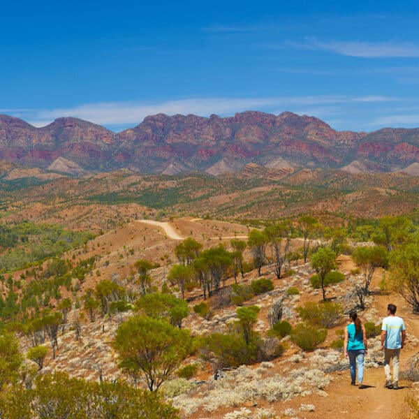 Bunyeroo Creek Hike, South Australia