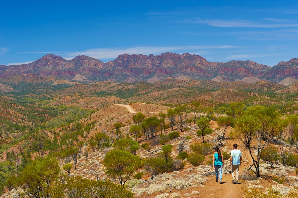 Bunyeroo Creek Hike, South Australia 