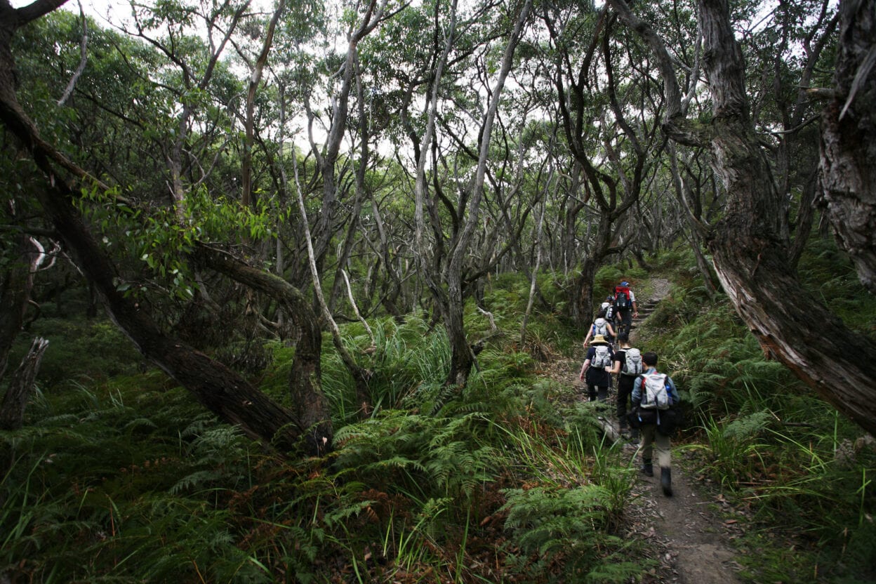 Great Ocean Walk, Victoria