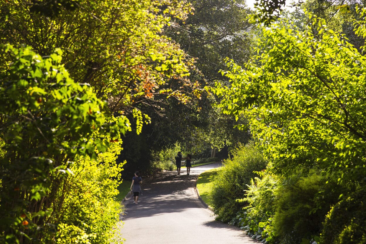 Walk to The G, Victoria