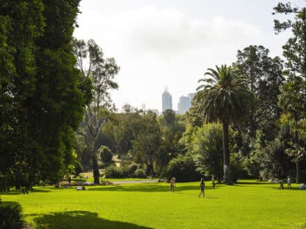 Walk to The G, Victoria