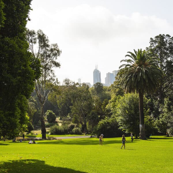 Walk to The G, Victoria