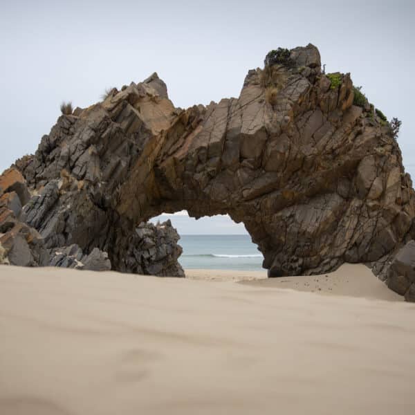 Cape Queen Elizabeth Track, Tasmania